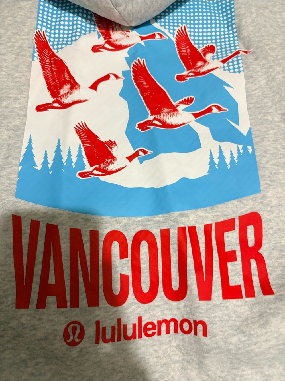 lululemon athletica Light Gray Hoodie with Red and Blue Goose Graphic